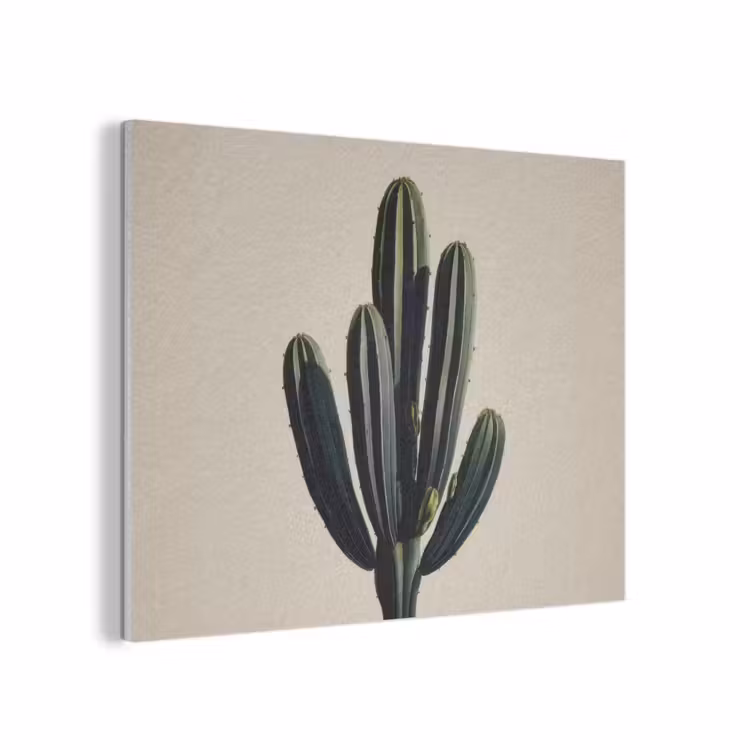 Cactus - Subtiel - Groen PET vilt klein -3d