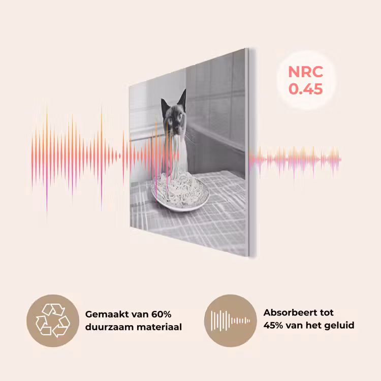 Kat - Siamees - Zwart Wit - Schattig - Dieren PET vilt klein -USP_NL