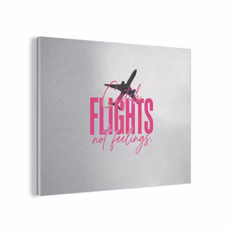 Catch flights not feelings - Vliegtuig - Roze PET vilt klein -3d