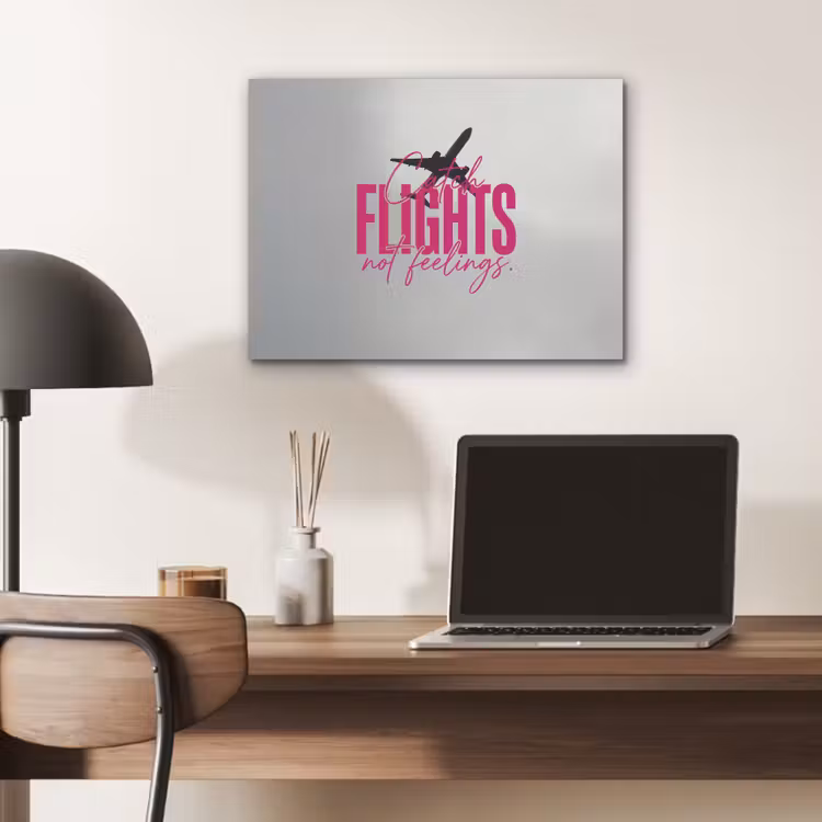 Catch flights not feelings - Vliegtuig - Roze PET vilt klein -sfeer5