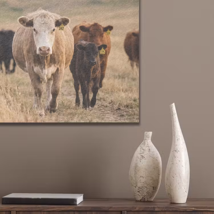 Runderen - Kudde - Landschap - Weide - Rustig PET vilt klein -sfeer6_closeup