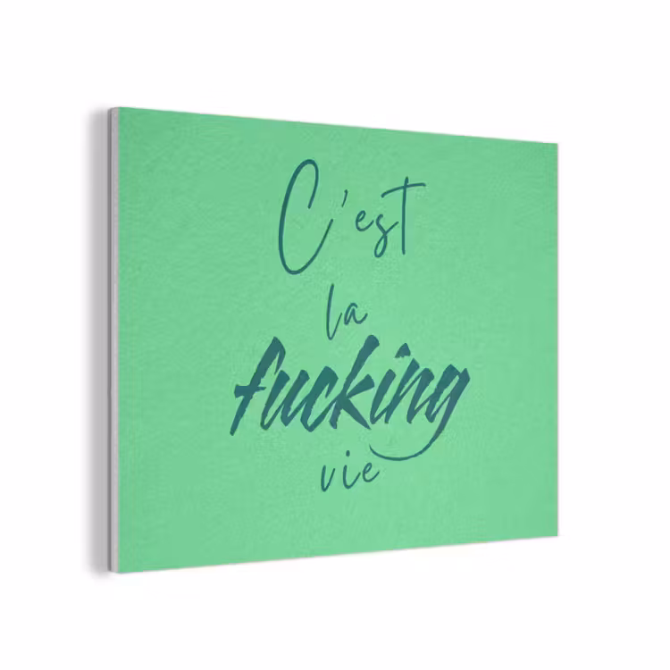 c'est la fucking vie - Groen - Penseelstijl PET vilt klein -3d