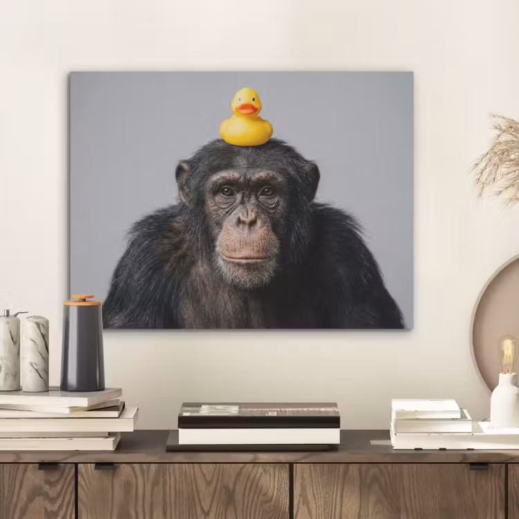 Chimpansee - Badeend - Grijs PET vilt klein -sfeer1