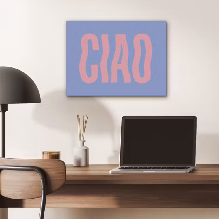 Ciao - Roze - Blauw - Golvend PET vilt klein -sfeer5