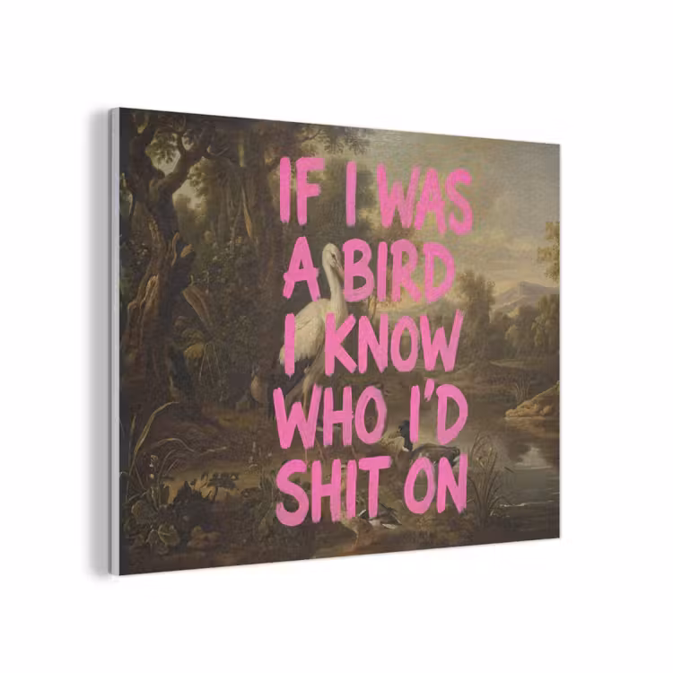 Klassiek - Humor - Roze PET vilt klein -3d