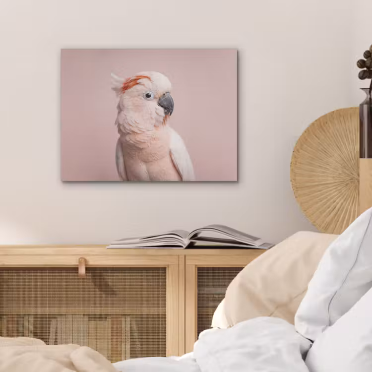 Kaketoe - Portret - Roze PET vilt klein -sfeer3