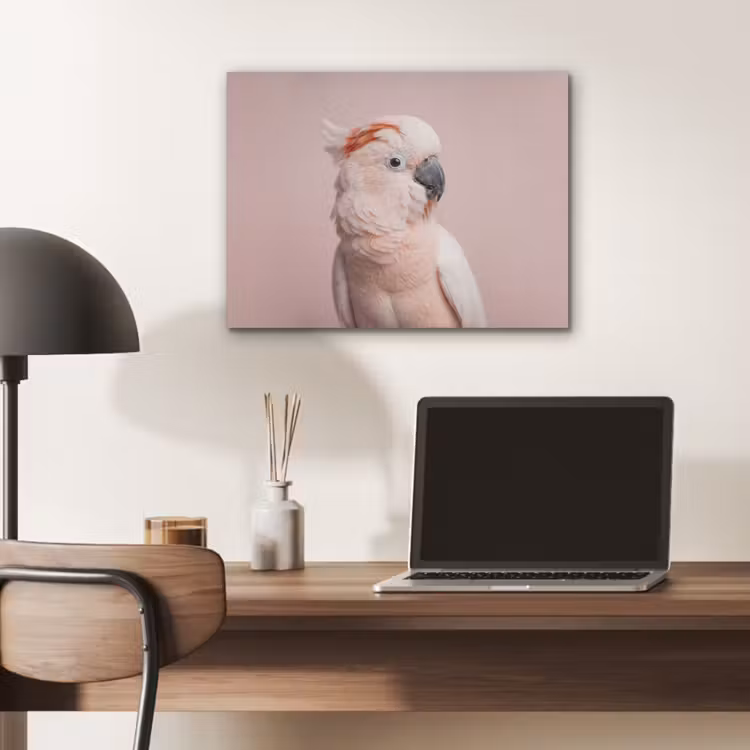 Kaketoe - Portret - Roze PET vilt klein -sfeer5