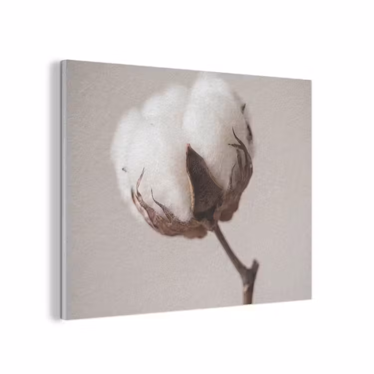Katoenbol - Minimalistisch - Wit PET vilt klein -3d