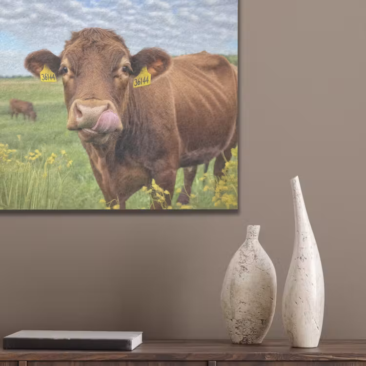 Koe - Weide - Bloemen PET vilt klein -sfeer6_closeup