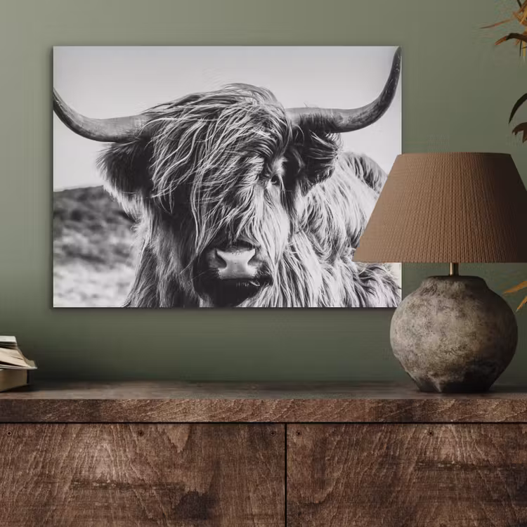 Koe - Schotse hooglander - Zwart - Wit - Dier - Natuur - Wild PET vilt klein -sfeer2