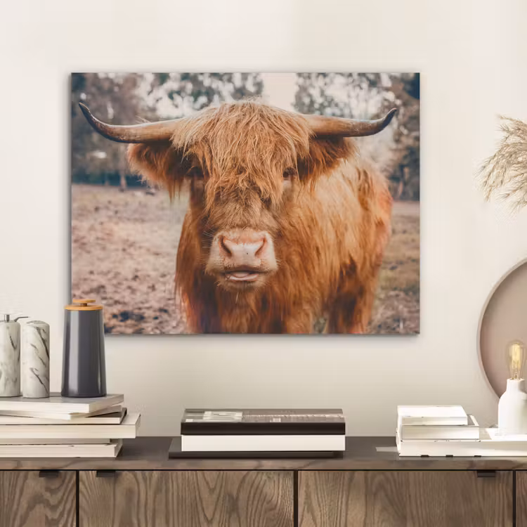Koe- Schotse hooglander - Hoorns - Bruin - Landschap PET vilt klein -sfeer1