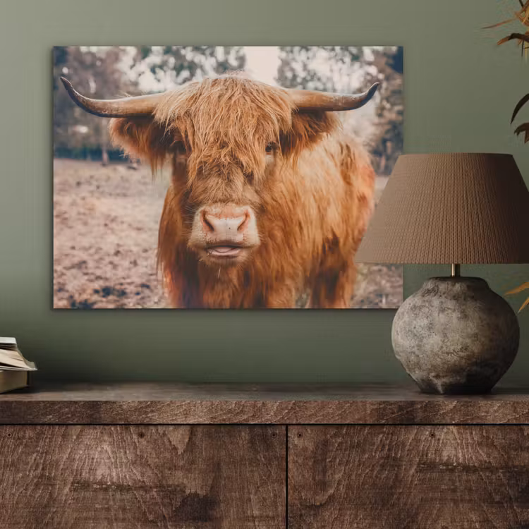 Koe- Schotse hooglander - Hoorns - Bruin - Landschap PET vilt klein -sfeer2