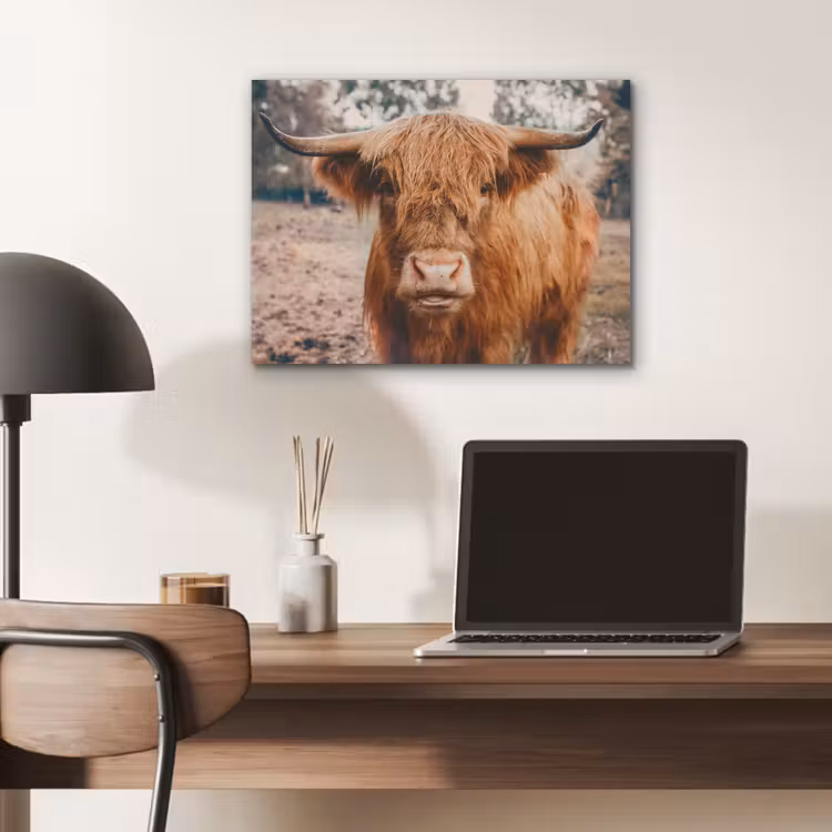 Koe- Schotse hooglander - Hoorns - Bruin - Landschap PET vilt klein -sfeer5