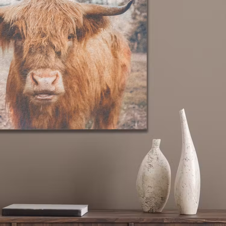 Koe- Schotse hooglander - Hoorns - Bruin - Landschap PET vilt klein -sfeer6_closeup