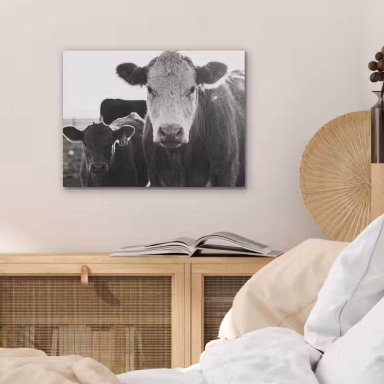 Koeien - Zwart - Wit PET vilt klein -sfeer3