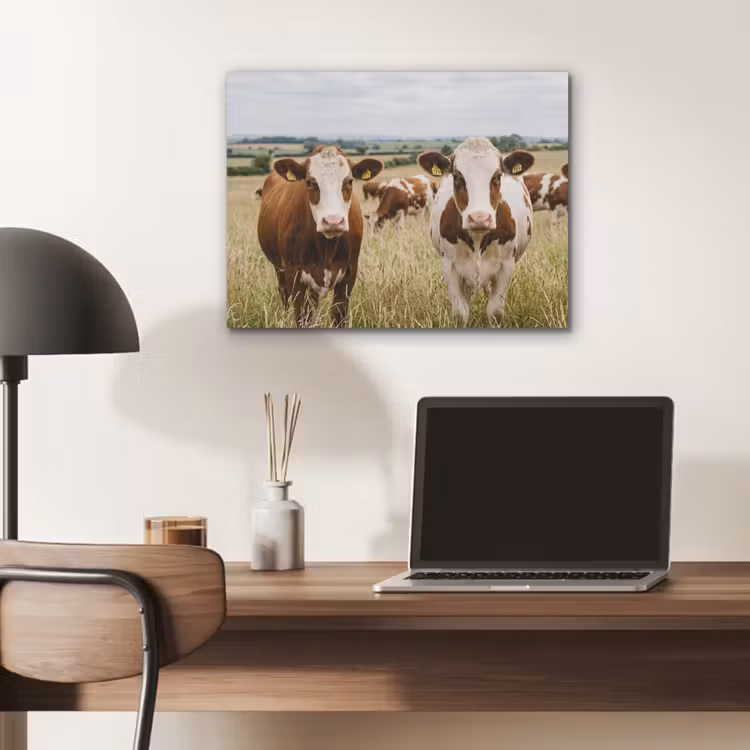 Koeien - Portret - Weide - Boerderij - Nieuwsgierig PET vilt klein -sfeer5