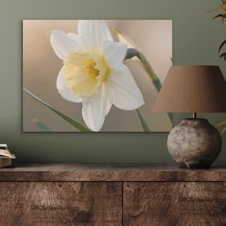 Narcis - Bloem - Minimalistisch PET vilt klein -sfeer2