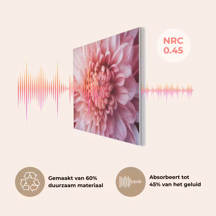 Dahlia - Bloem - Close up - Roze PET vilt klein -USP_NL