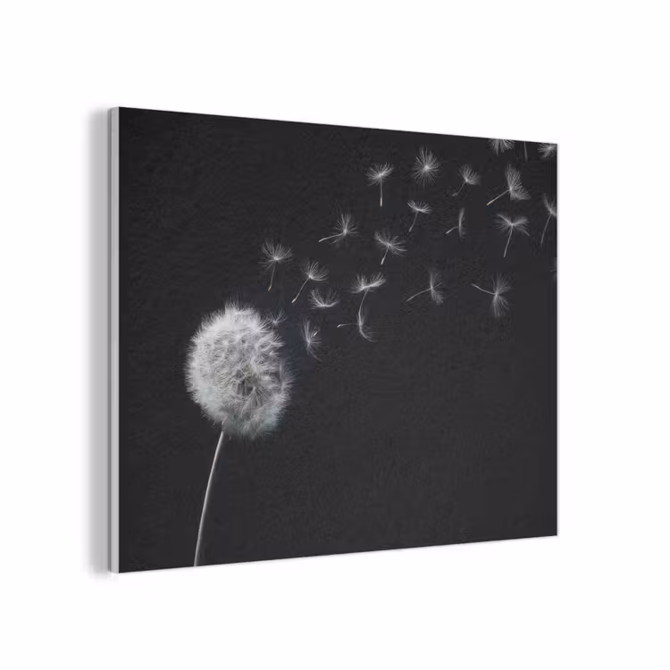 Paardenbloem - Zwart - Natuur PET vilt klein -3d