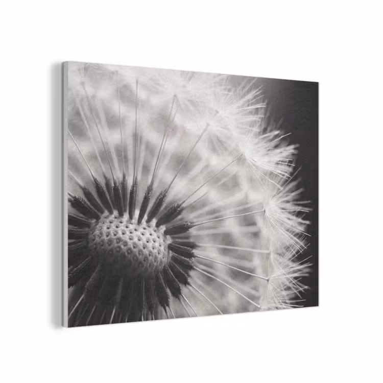 Paardenbloem - Zwart - Wit PET vilt klein -3d