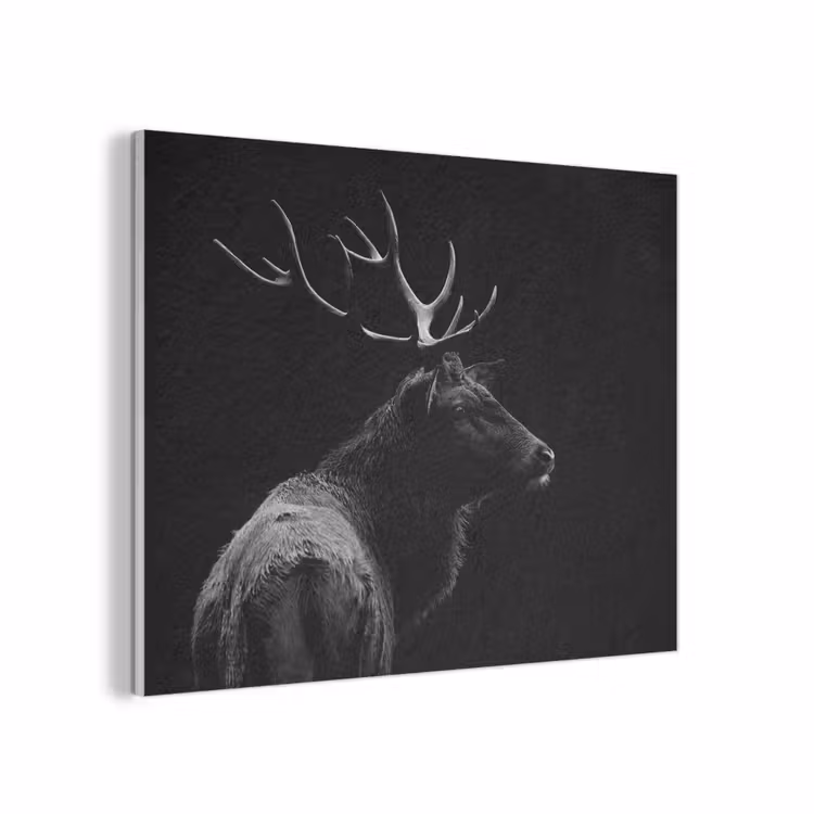 Hert - Zwart - Portret - Gewei - Dieren PET vilt klein -3d