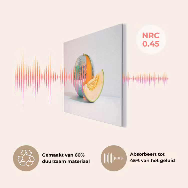 Disco - Discobal - Meloen - Pastel PET vilt klein -USP_NL