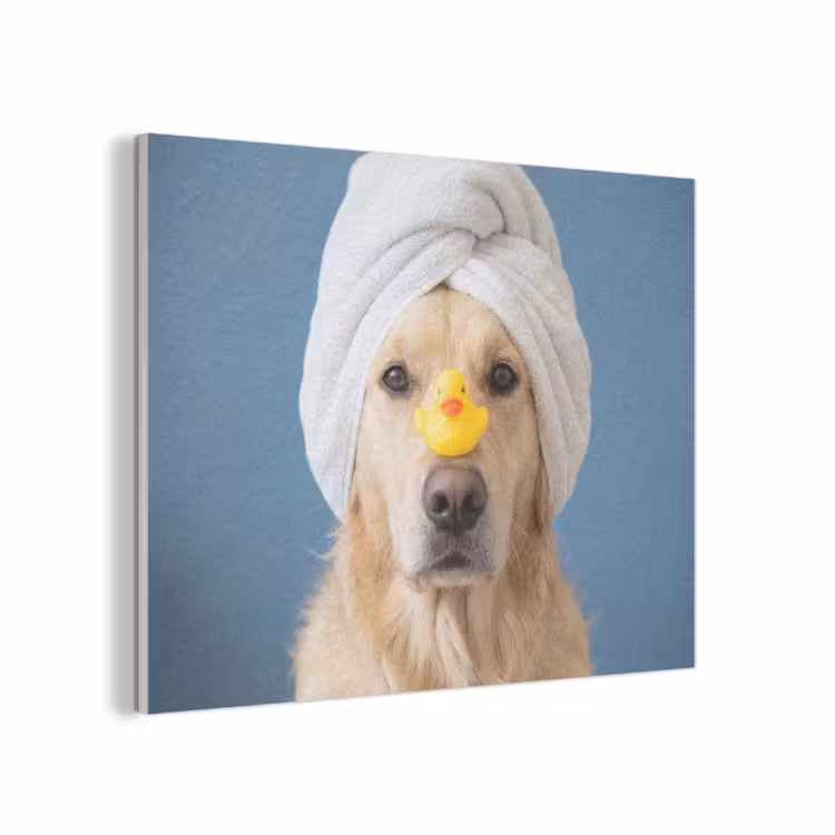 Hond - Badeend - Geel PET vilt klein -3d