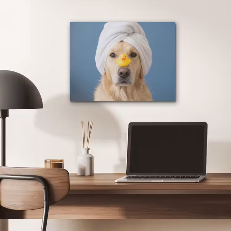 Hond - Badeend - Geel PET vilt klein -sfeer5