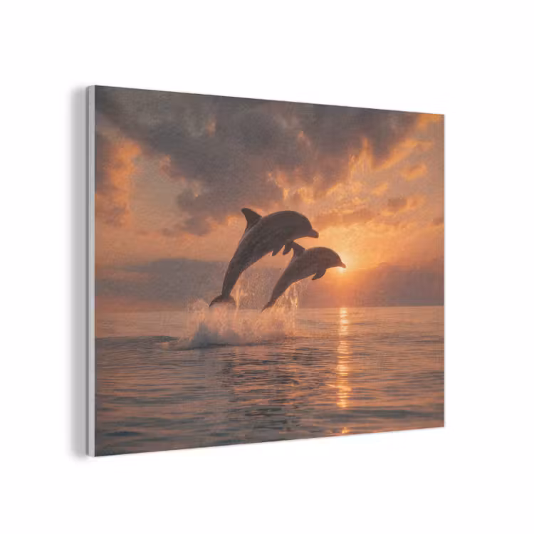 Dolfijnen - Zee - Realistisch PET vilt klein -3d