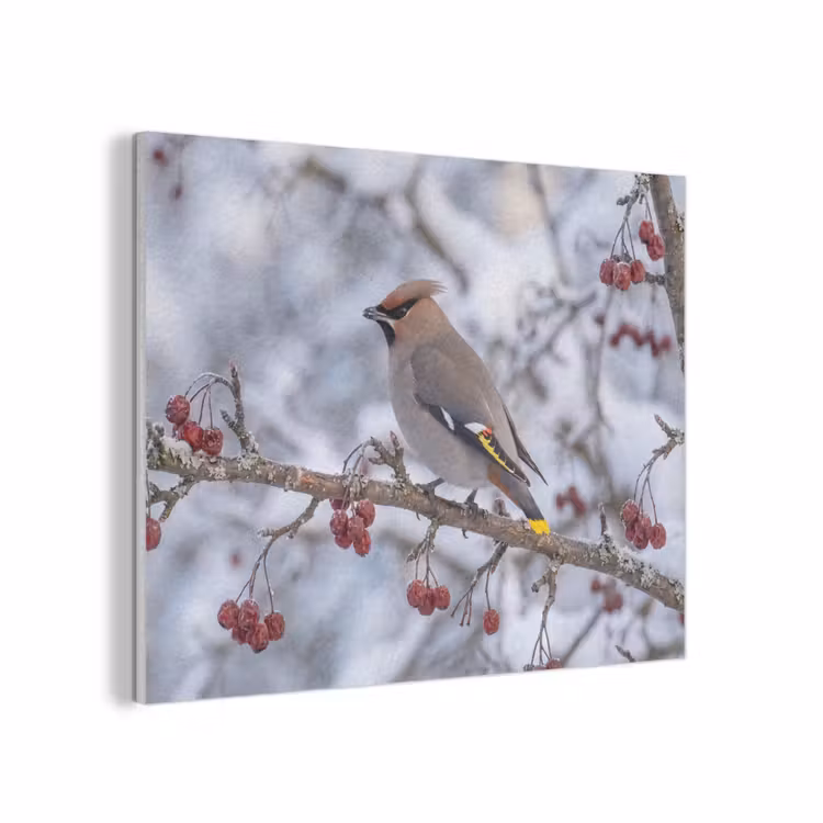 Pestvogel - Bessen - Winter - Natuur PET vilt klein -3d