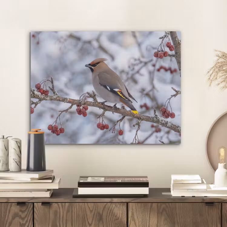 Pestvogel - Bessen - Winter - Natuur PET vilt klein -sfeer1