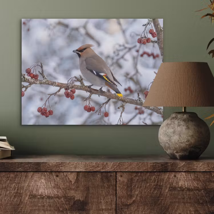 Pestvogel - Bessen - Winter - Natuur PET vilt klein -sfeer2