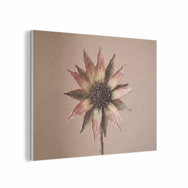 Droogbloem - Protea - Vintage - Beige - Rustiek PET vilt klein -3d