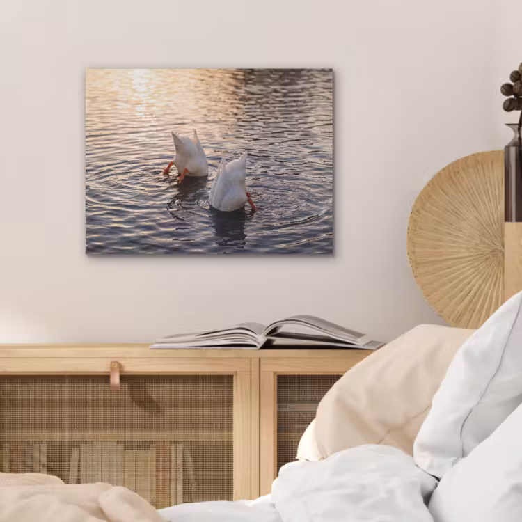 Eenden - Water - Natuur PET vilt klein -sfeer3