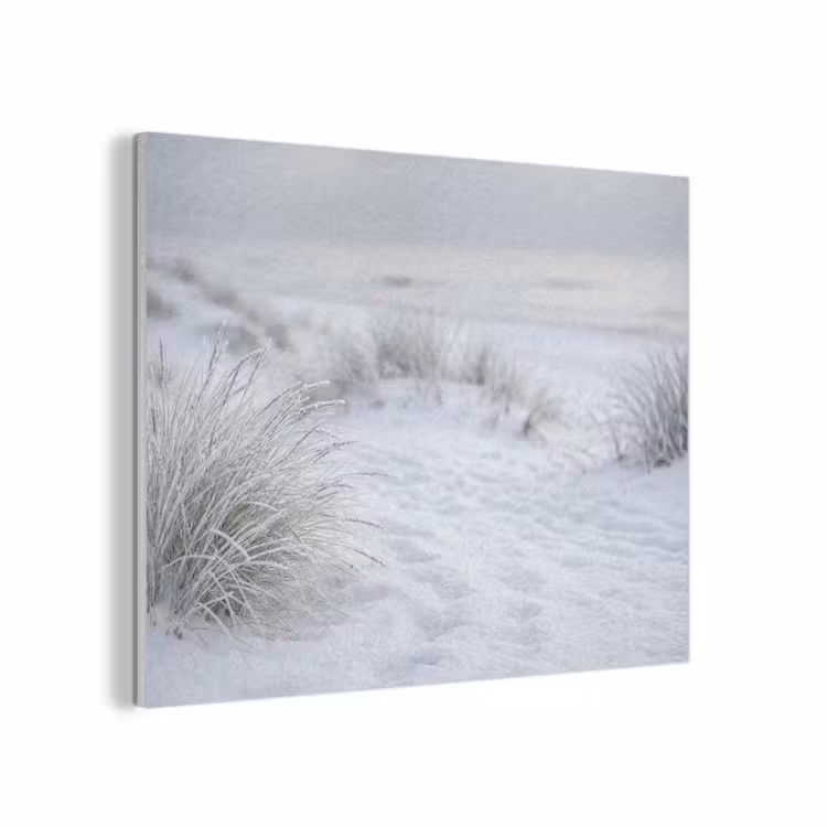 Duinen - Sneeuw - Strand - Winter - Serene PET vilt klein -3d