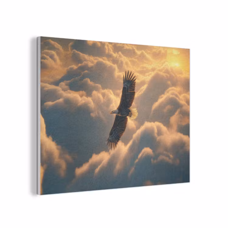 Adelaar - Wolken - Zon PET vilt klein -3d