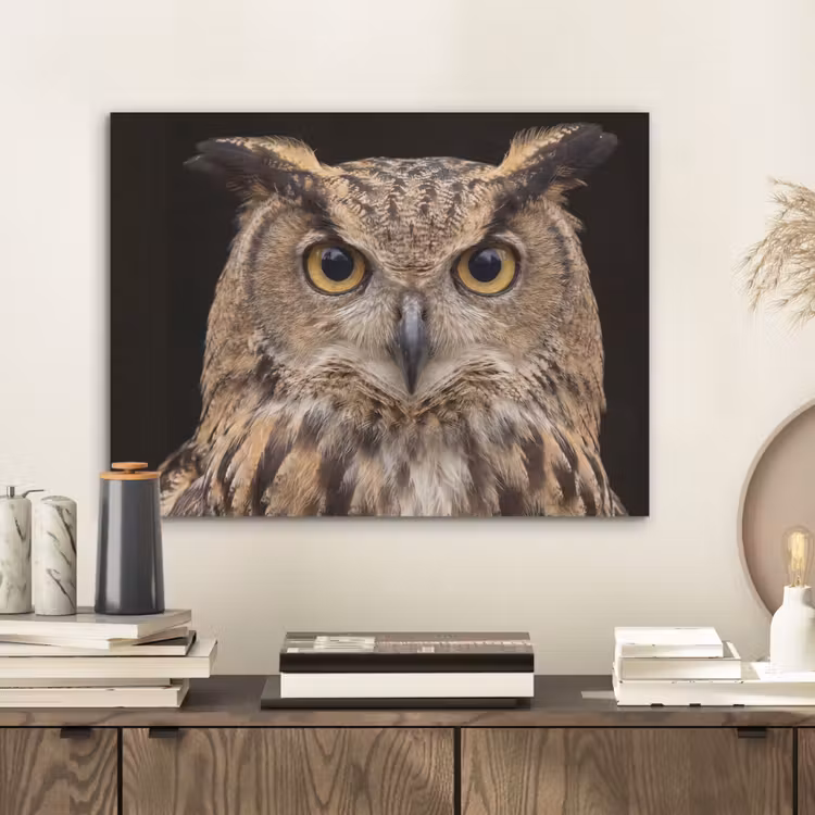 Oehoe - Uil - Portret - Bruin PET vilt klein -sfeer1