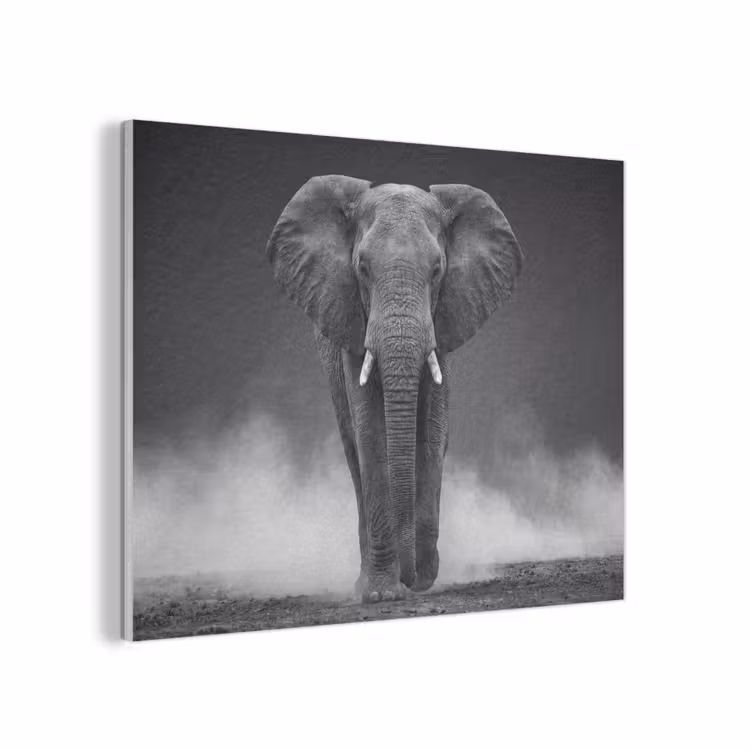 Olifant - Zwart - Wit - Rook PET vilt klein -3d