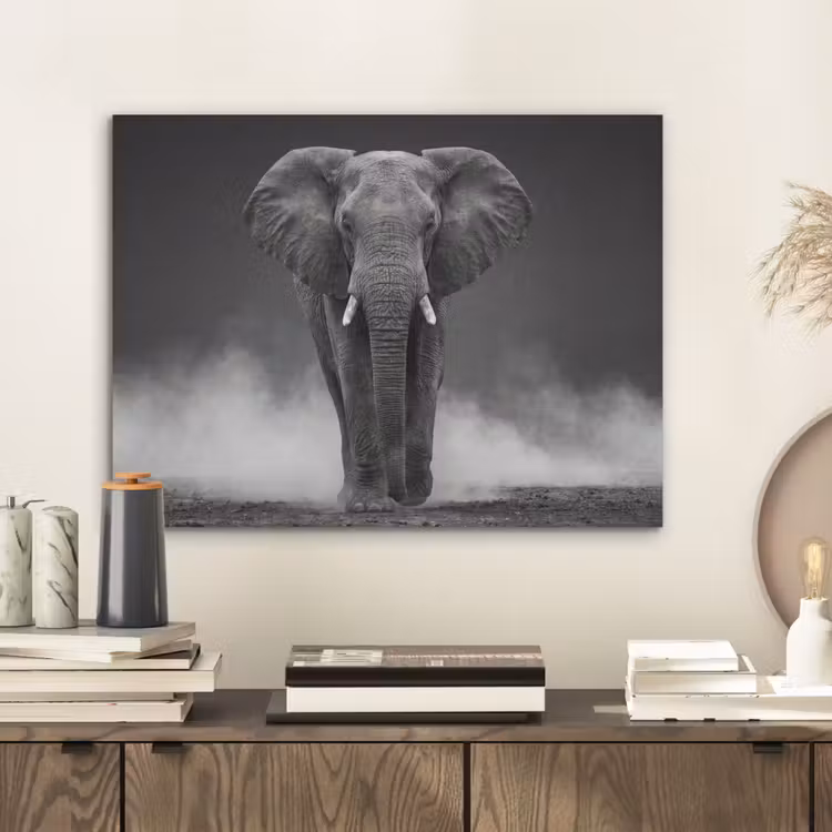 Olifant - Zwart - Wit - Rook PET vilt klein -sfeer1