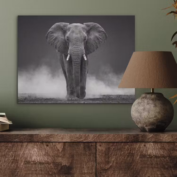 Olifant - Zwart - Wit - Rook PET vilt klein -sfeer2