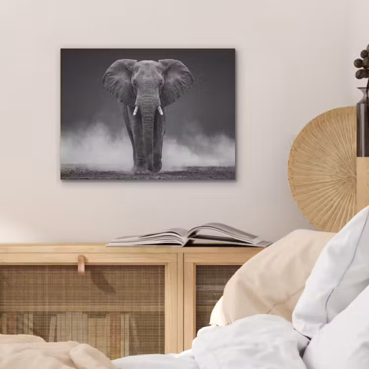 Olifant - Zwart - Wit - Rook PET vilt klein -sfeer3