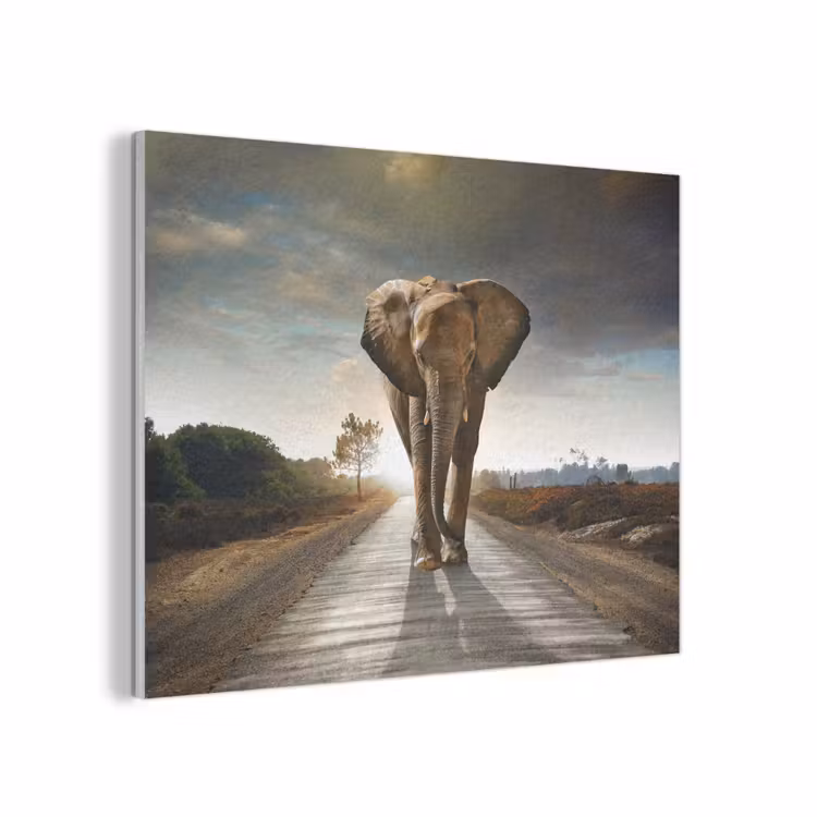 Olifant - Weg - Dieren - Zonsondergang - Landschap PET vilt klein -3d