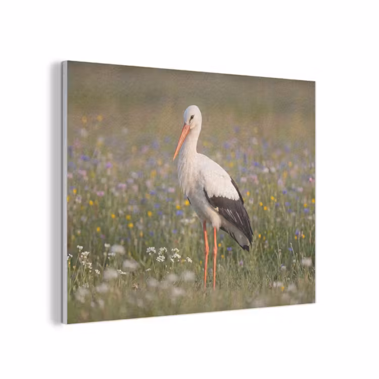 Ooienvaar - Bloemen - Weide - Kleurrijk PET vilt klein -3d