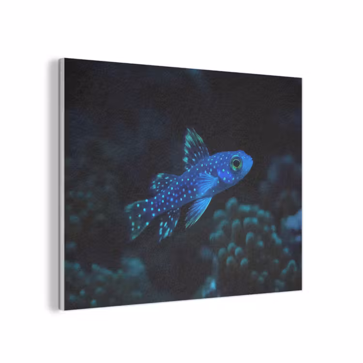 Vis - Stippen - Koraal - Blauw PET vilt klein -3d