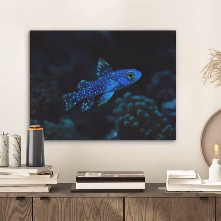 Vis - Stippen - Koraal - Blauw PET vilt klein -sfeer1