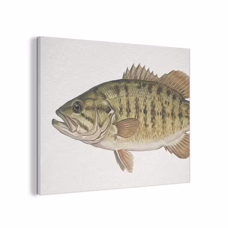 Vissen - Natuur - Vintage PET vilt klein -3d