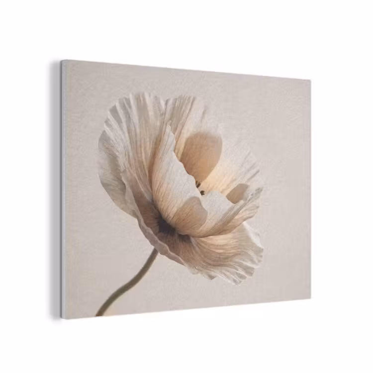Bloem - Beige - Crème PET vilt klein -3d