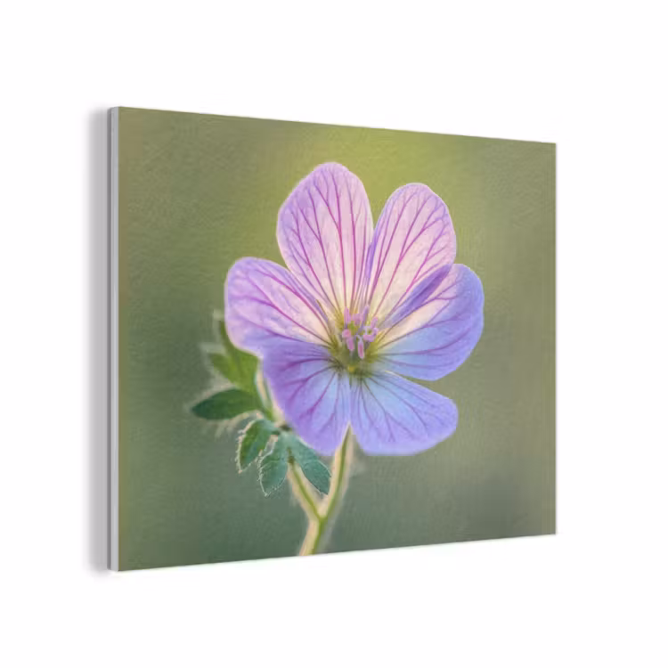 Bloem - Close up - Paars PET vilt klein -3d