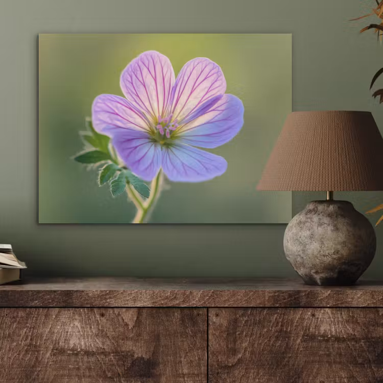 Bloem - Close up - Paars PET vilt klein -sfeer2