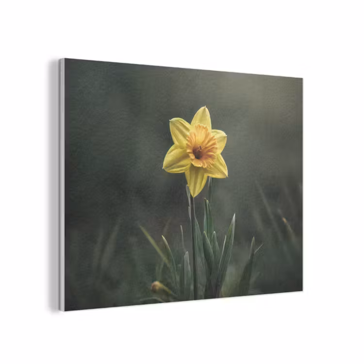 Bloem - Narcis - Gras - Geel PET vilt klein -3d